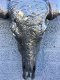 Indian stierenschedel zwart kleur-zwarte horens-schedel - 5 - Thumbnail