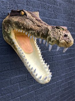 Levensechte krokodillen kop-open gesperde bek-krokodil - 0