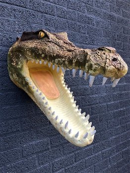 Levensechte krokodillen kop-open gesperde bek-krokodil - 4
