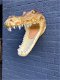 Levensechte krokodillen kop-open gesperde bek-krokodil - 6 - Thumbnail