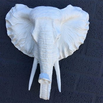 Mooie witte olifantenkop wandornament-prachtig-olifant - 0