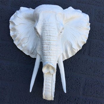 Mooie witte olifantenkop wandornament-prachtig-olifant - 1