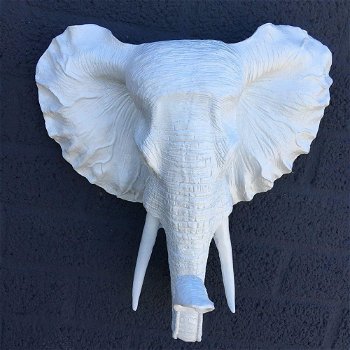 Mooie witte olifantenkop wandornament-prachtig-olifant - 2