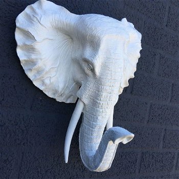 Mooie witte olifantenkop wandornament-prachtig-olifant - 3