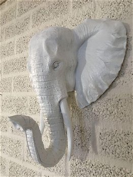 Mooie witte olifantenkop wandornament-prachtig-olifant - 5