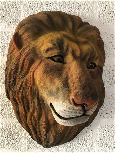 Prachtige gekleurde leeuwen kop-leeuw -beeld