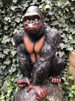 Prachtige gorilla, polystone mooi om te zien-gorrila-aap - 0