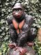 Prachtige gorilla, polystone mooi om te zien-gorrila-aap - 0 - Thumbnail
