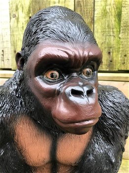 Prachtige gorilla, polystone mooi om te zien-gorrila-aap - 1