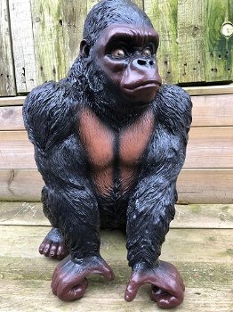 Prachtige gorilla, polystone mooi om te zien-gorrila-aap - 2