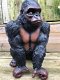 Prachtige gorilla, polystone mooi om te zien-gorrila-aap - 2 - Thumbnail