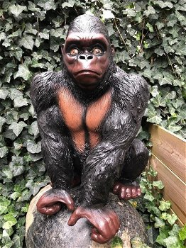 Prachtige gorilla, polystone mooi om te zien-gorrila-aap - 3