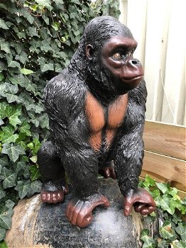 Prachtige gorilla, polystone mooi om te zien-gorrila-aap - 5