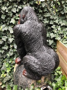 Prachtige gorilla, polystone mooi om te zien-gorrila-aap - 6