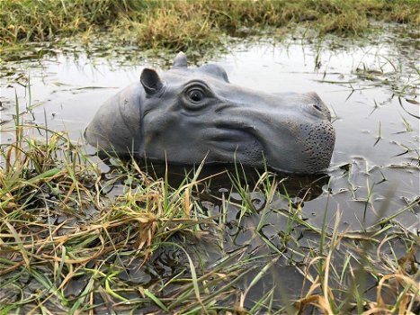 Prachtige polysteinen kop van een hippo-nijlpaard - 0