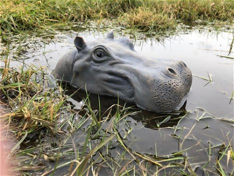 Prachtige polysteinen kop van een hippo-nijlpaard - 1