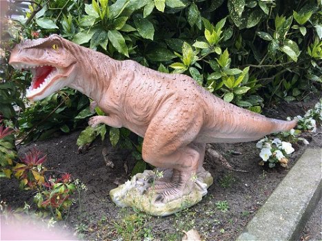 Prachtige sculptuur van een Tyrannosaurus-dino - 7