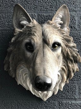 Prachtige wolvenkop, Polystein-expressie-wolf-hond - 0