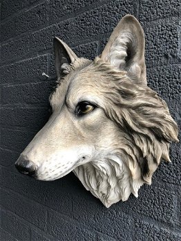 Prachtige wolvenkop, Polystein-expressie-wolf-hond - 2