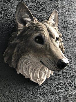 Prachtige wolvenkop, Polystein-expressie-wolf-hond - 5