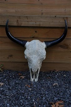 Schedel ivoor-grijs met zwarte horens-schedel- polystein.