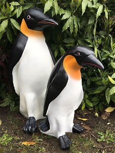 Set Pinguin beelden in kleur, polystein-pinquin-pinguin