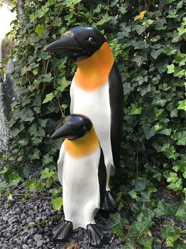 Set Pinguin beelden in kleur, polystein-pinguin-tuin-deco - 2
