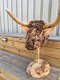 Stierenkop- gemaakt- hout-Monfort-stier- kunstwerk - 4 - Thumbnail