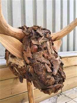 Stierenkop- gemaakt- hout-Monfort-stier- kunstwerk - 7