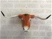 Stierenkop groot, country style, mooi stier-stieren hoofd - 0 - Thumbnail
