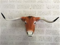 Stierenkop groot, country style, mooi stier-stieren hoofd
