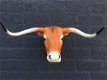 Stierenkop groot, country style, mooi stier-stieren hoofd - 4 - Thumbnail