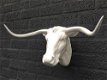 Stierenkop mooi wit, country style-stier-bul-bull - 2 - Thumbnail