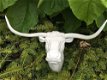 Stierenkop mooi wit, country style-stier-bul-bull - 6 - Thumbnail
