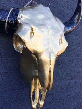 Stierenschedel goudkleur zwarte horens-stier-schedel - 7