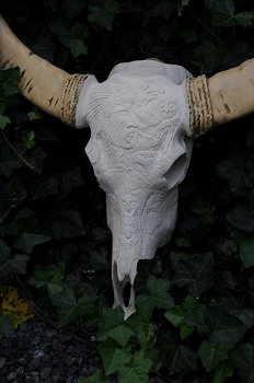 Stierenschedel western gesneden in creme-ivoor-stier - 2