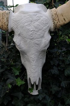 Stierenschedel western gesneden in creme-ivoor-stier - 4