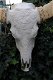 Stierenschedel western gesneden in creme-ivoor-stier - 4 - Thumbnail