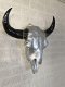 Stierenschedel zilverkleur met zwarte horens-deco-stier - 6 - Thumbnail