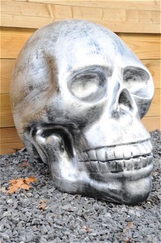 Zeer grote anatomische schedel-uit Polystein-schedel - 0