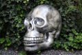 Zeer grote anatomische schedel-uit Polystein-schedel - 3 - Thumbnail