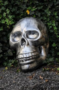 Zeer grote anatomische schedel-uit Polystein-schedel - 5