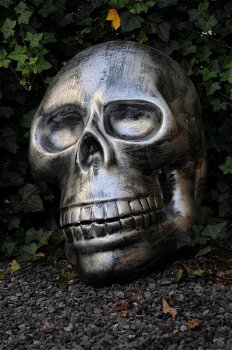 Zeer grote anatomische schedel-uit Polystein-schedel - 6