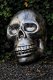 Zeer grote anatomische schedel-uit Polystein-schedel - 6 - Thumbnail