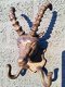 Steenbokkop met horens-kledinghaak- jacht-Garderobe - 3 - Thumbnail
