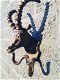 Steenbokkop met horens-kledinghaak- jacht-Garderobe - 5 - Thumbnail