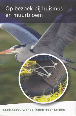 Stadsnatuurwandelingen door Leiden