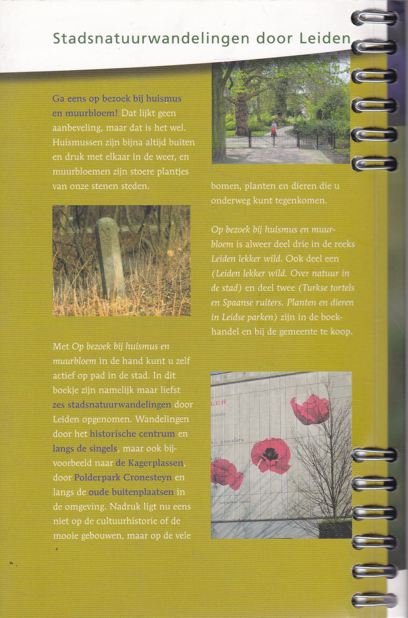 Stadsnatuurwandelingen door Leiden - Afbeelding 2