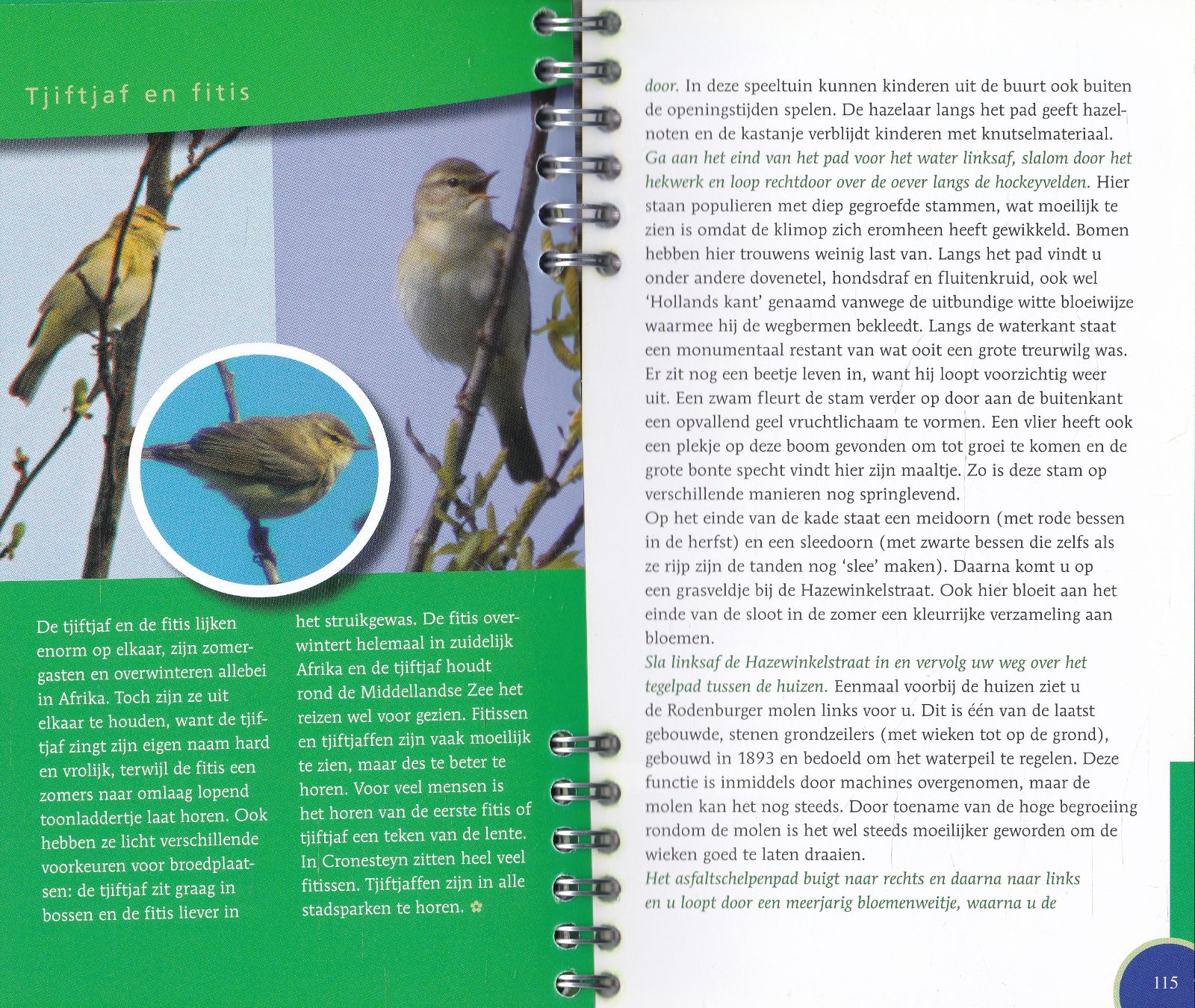 Stadsnatuurwandelingen door Leiden - Afbeelding 4