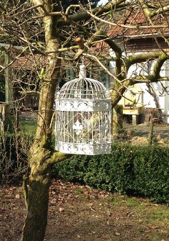 1 kooi groot voor de vogel, metaal- vogelkooi-vogel - 3